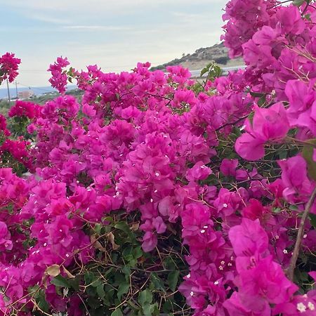 Villa Marmelada Ierápetra Dış mekan fotoğraf