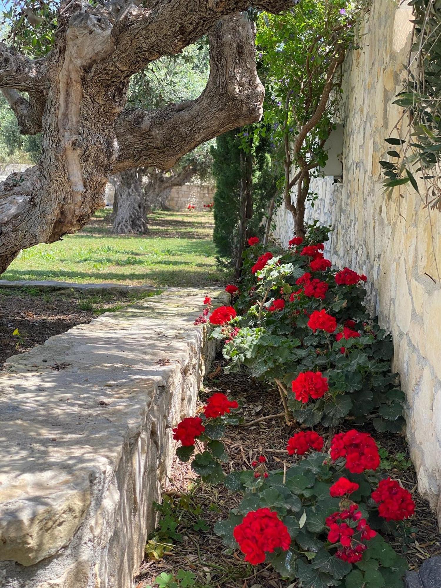 Villa Marmelada Ierápetra Dış mekan fotoğraf