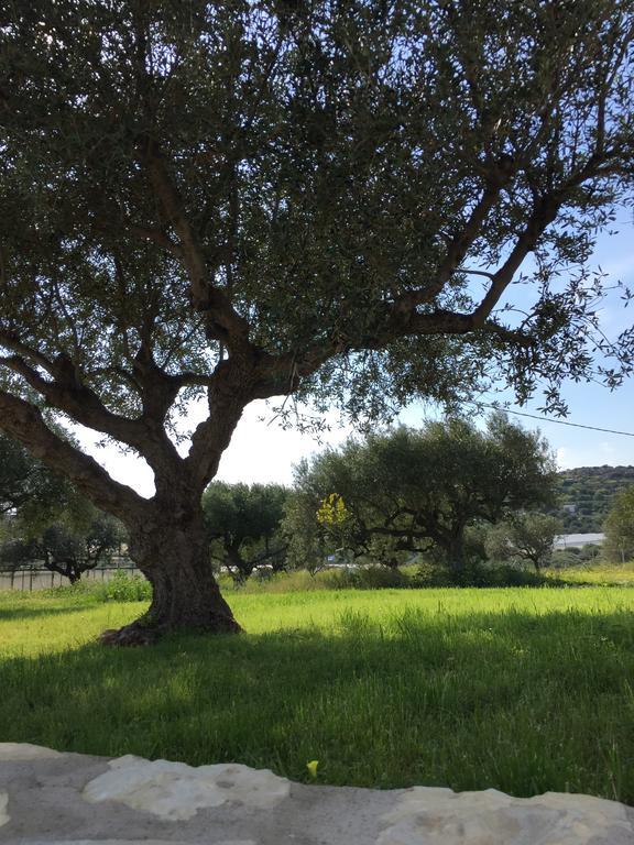 Villa Marmelada Ierápetra Dış mekan fotoğraf