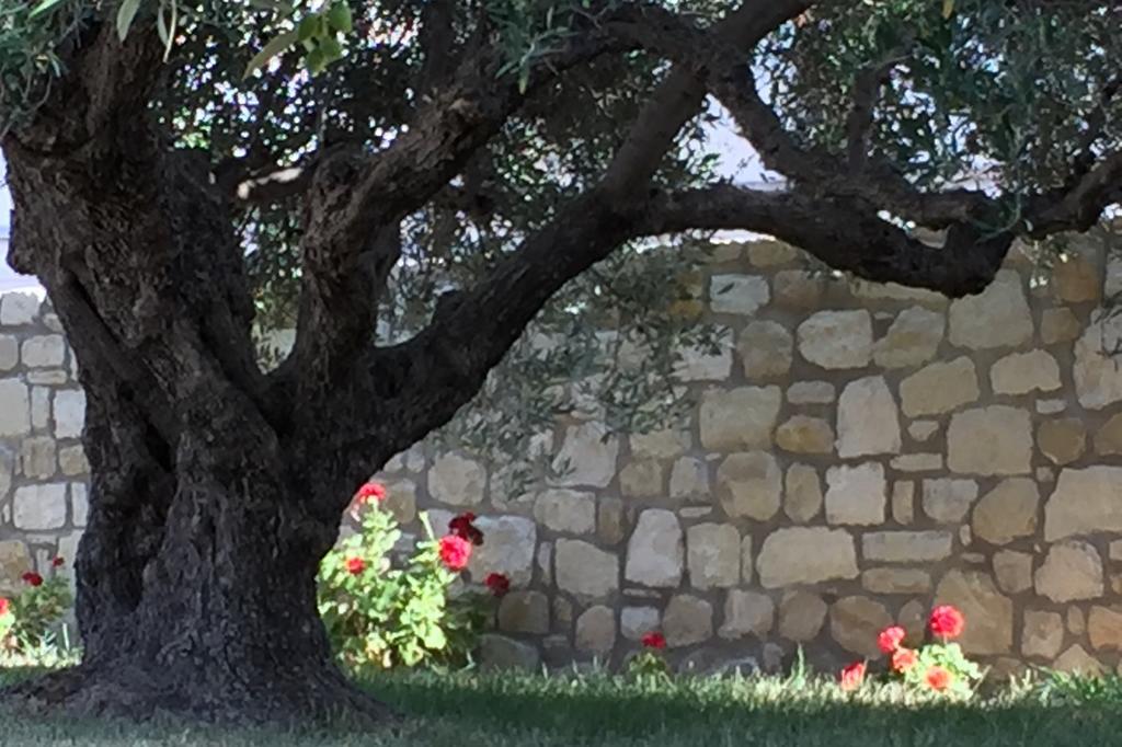 Villa Marmelada Ierápetra Dış mekan fotoğraf